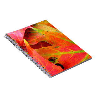 Colourful Autumn Leaves Close-up Notebook