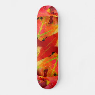 Colourful Autumn Leaves Close-up Skateboard