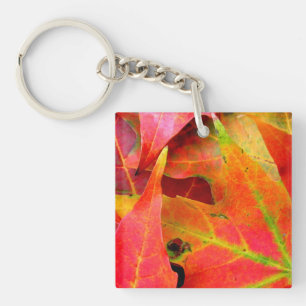 Colourful Autumn Leaves CloseUp Key Ring