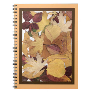 Colourful Autumn Leaves Collage Brown Orange Frame Notebook
