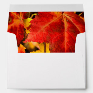 Colourful Autumn Leaves, gold red orange maple lea Envelope