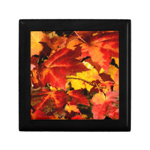 Colourful Autumn Leaves, gold red orange maple lea Gift Box