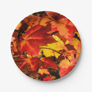 Colourful Autumn Leaves, gold red orange maple lea Paper Plate