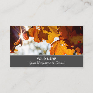 Colourful autumn leaves in golden sunset business business card