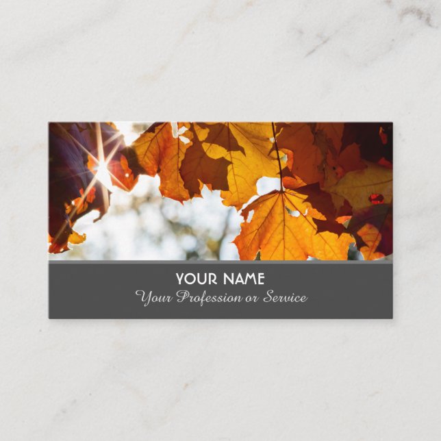 Colourful autumn leaves in golden sunset business  business card (Front)