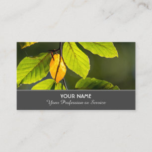 Colourful autumn leaves in golden sunset business card