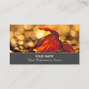 Colourful autumn leaves in golden sunset business  card