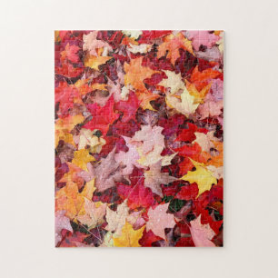 Colourful Autumn Leaves Jigsaw Puzzle
