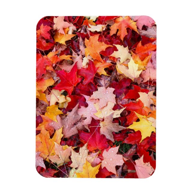 Colourful Autumn Leaves Magnet (Vertical)