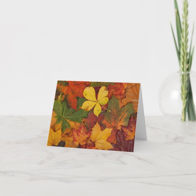 Colourful Autumn Leaves Note Card (Front)