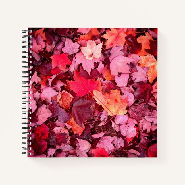 Colourful Autumn Leaves Notebook (Front)