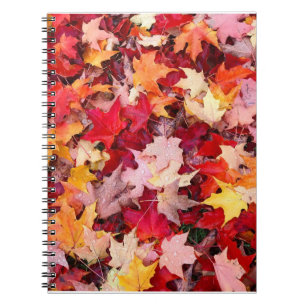 Colourful Autumn Leaves Notebook