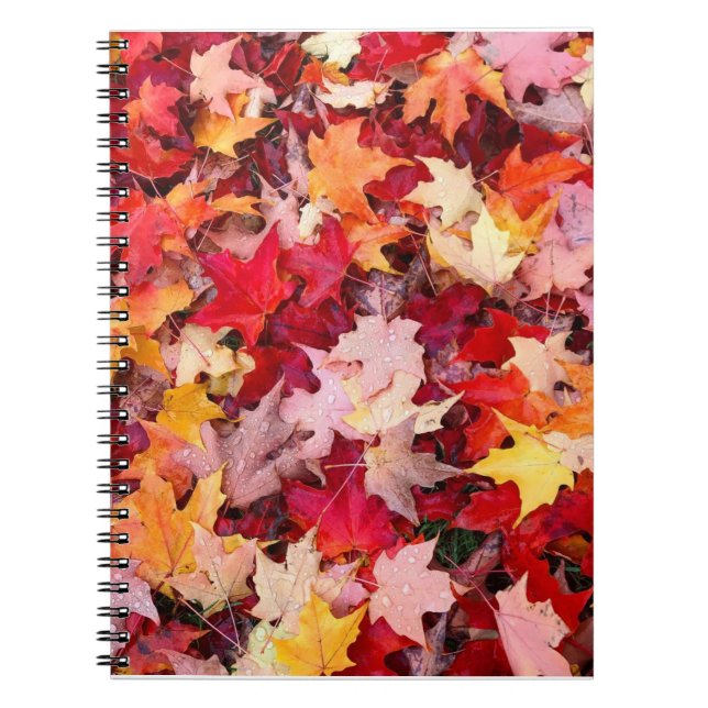 Colourful Autumn Leaves Notebook (Front)
