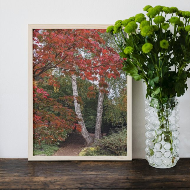 Colourful Autumn Leaves Photo Print (In Situ Framed)