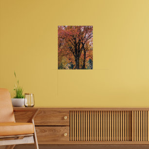 Colourful Autumn Leaves Photographic Poster