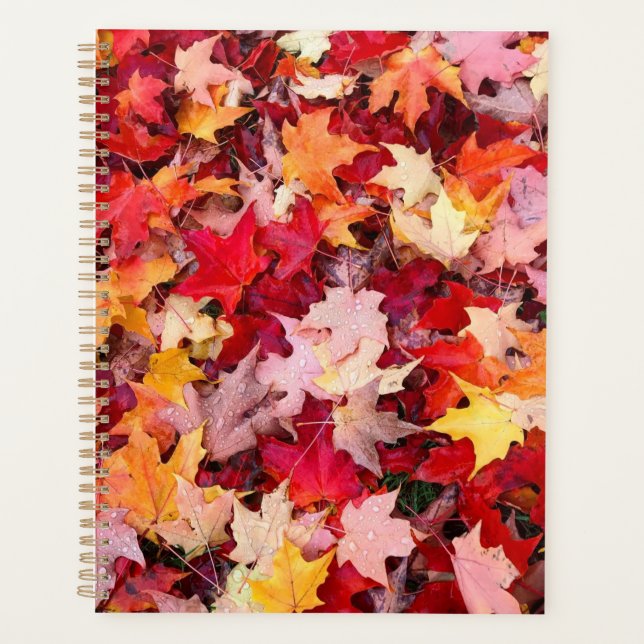 Colourful Autumn Leaves Planner (Front)
