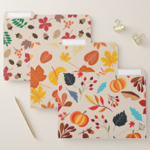 Colourful Autumn Leaves, Pumpkins & Acorns