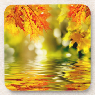 Colourful autumn leaves reflecting in the water 2 coaster