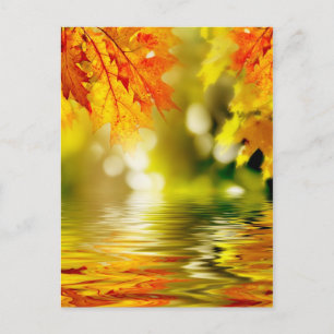 Colourful autumn leaves reflecting in the water 2 postcard
