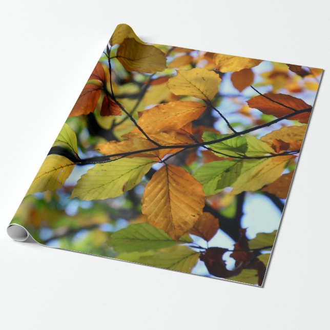 Colourful autumn leaves scenery wrapping paper (Unrolled)