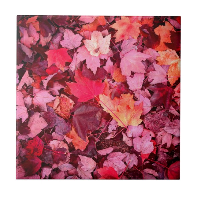Colourful Autumn Leaves Tile (Front)
