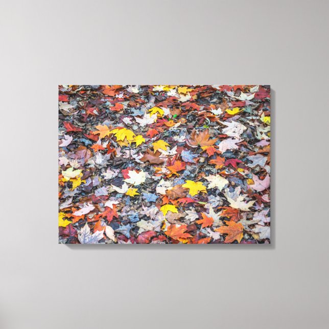 Colourful autumn leaves view canvas print (Front)