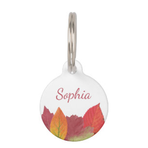 Colourful Autumn Leaves With Pet's Name And Number Pet Tag