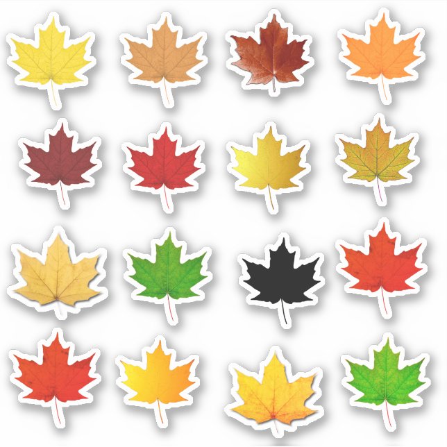 Colourful Autumn Maple Leaf Waterproof Labels (Front)