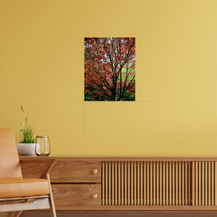 Colourful Autumn Maple Tree Leaves Poster