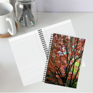 Colourful Autumn Maple Tree Notebook