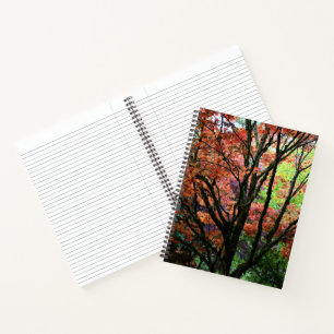 Colourful Autumn Maple Tree Notebook