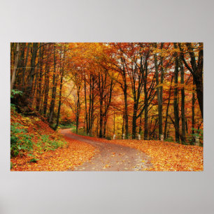 Colourful Autumn Path Poster