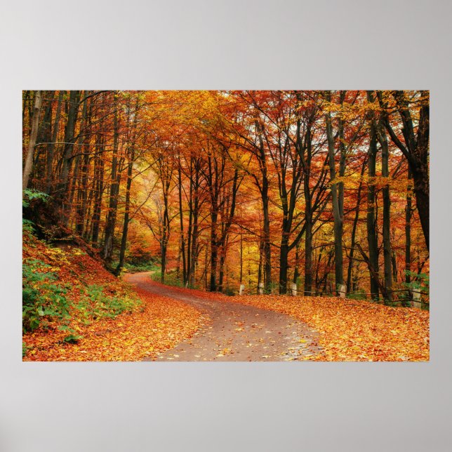 Colourful Autumn Path Poster (Front)