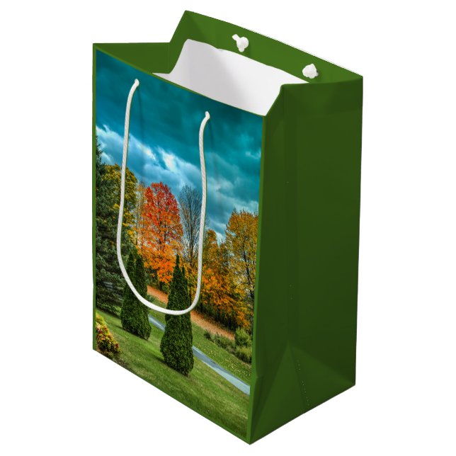 Colourful Autumn Scenic Photo Medium Gift Bag (Front Angled)