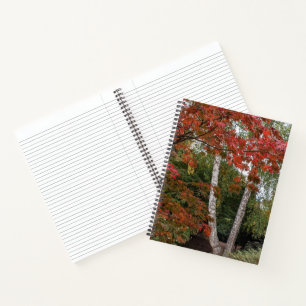 Colourful Autumn Season Leaves Notebook