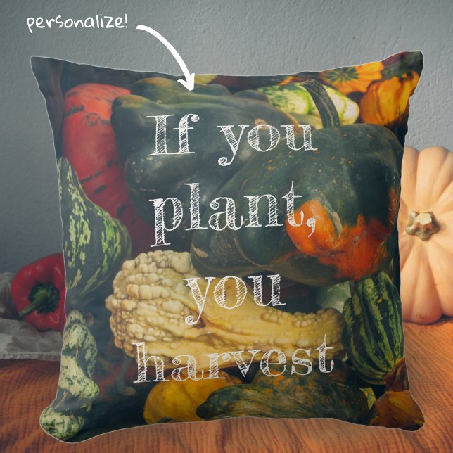  Colourful autumn squash and pumpkins Cushion (Creator Uploaded)