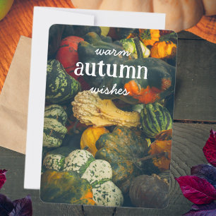 Colourful autumn squash and pumpkins Holiday Card