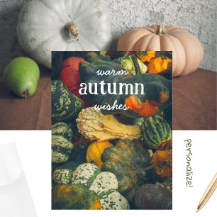 Colourful autumn squash and pumpkins Holiday Postcard