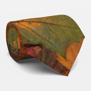 Colourful Autumn Tie