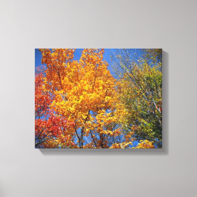Colourful Autumn Trees Canvas Print (Front)