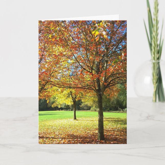Colourful Autumn Trees Card (Front)