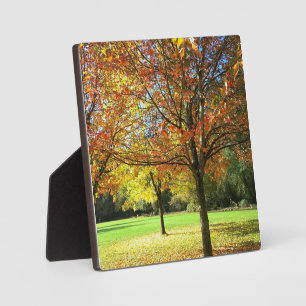 Colourful Autumn Trees Plaque