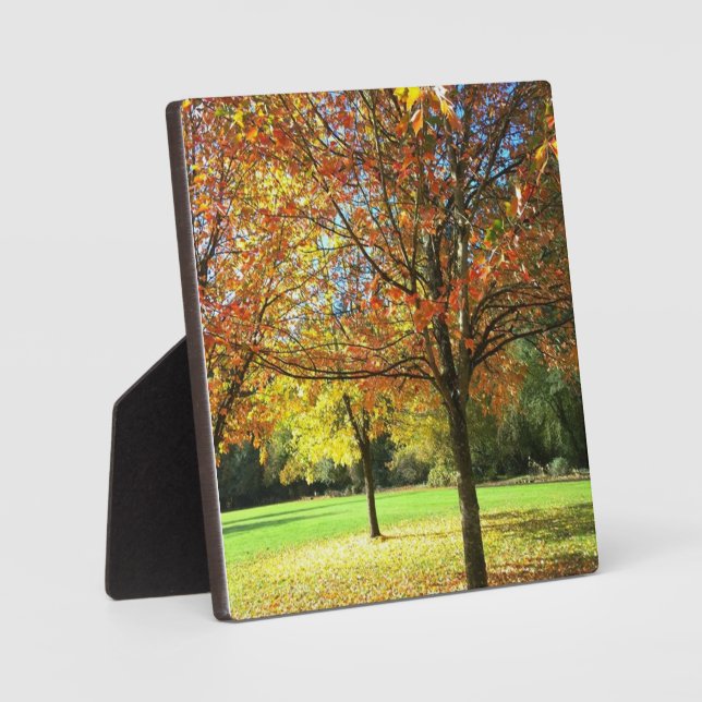 Colourful Autumn Trees Plaque (Front)