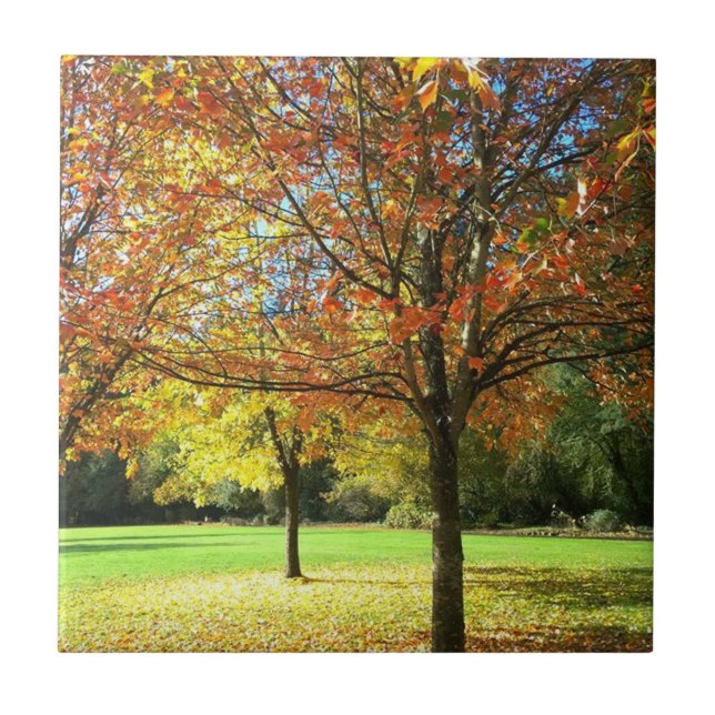 Colourful Autumn Trees Tile (Front)