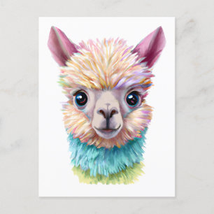 Colourful Baby Lama Postcard