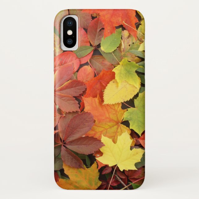Colourful Background Of Fallen Autumn Leaves Case-Mate iPhone Case (Back)