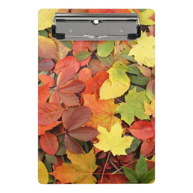Colourful Background Of Fallen Autumn Leaves Mini Clipboard (Front)