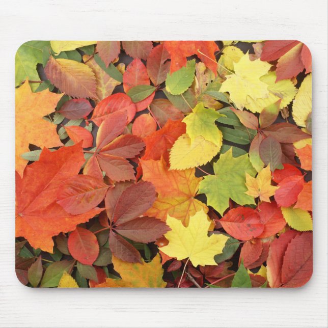 Colourful Background Of Fallen Autumn Leaves Mouse Mat (Front)