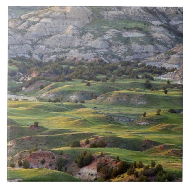 Colourful badlands from Buck Hill overlook in Tile (Front)