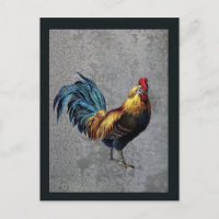 Colourful Bantam Rooster